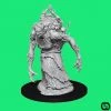 Wizkids Dungeons & Dragons: Nolzur's Marvelous Miniatures Wave 15 - Annis Hag