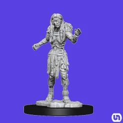 Wizkids Dungeons & Dragons: Nolzur's Marvelous Miniatures Wave 14 - Drowned Assasin & Drowned Ascetic