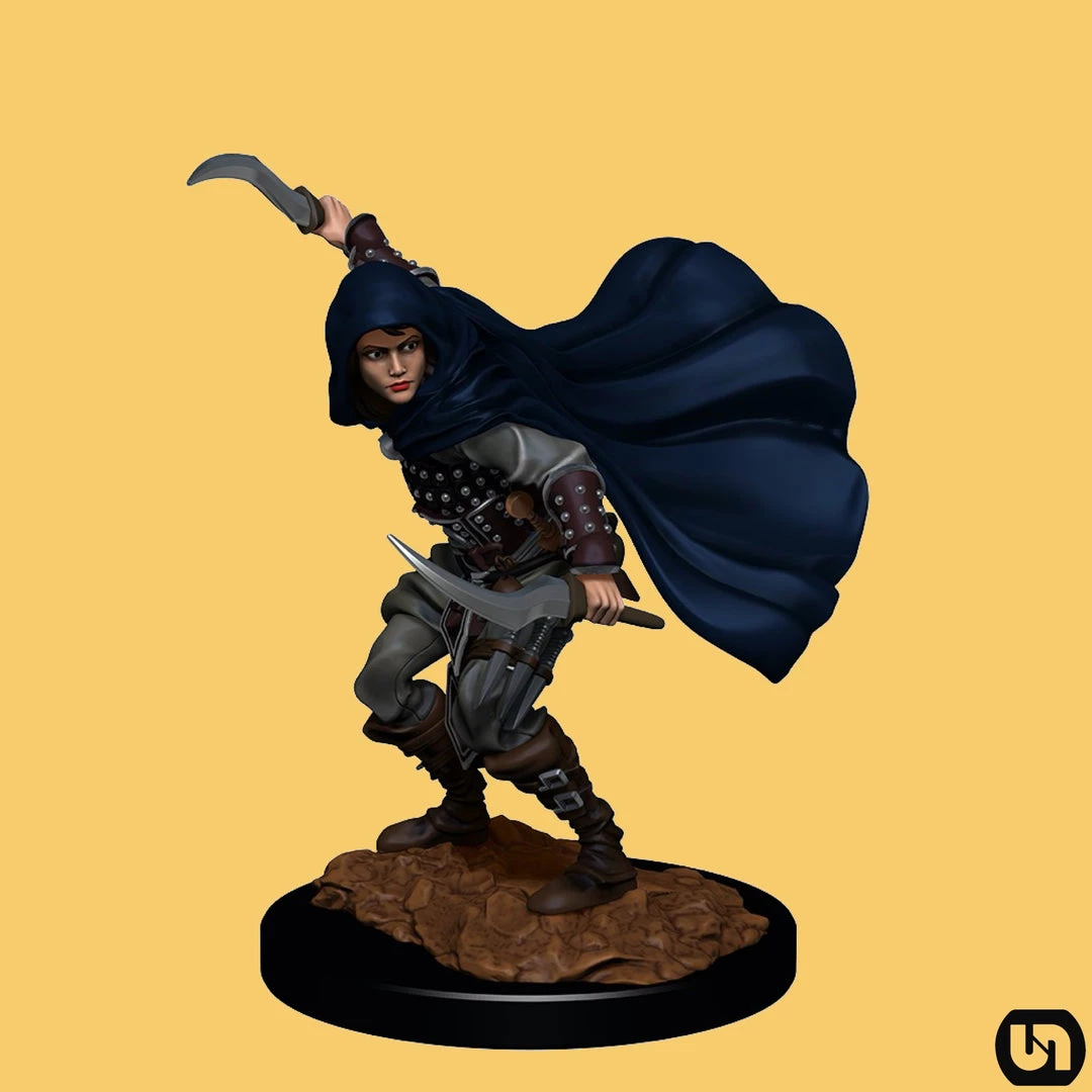 Wizkids Miniatures Pathfinder: Battles Deep Cuts Wave 14 - Female Human Rogue 3 Wizkids Miniatures Pathfinder: Battles Deep Cuts Wave 14 - Female Human Rogue