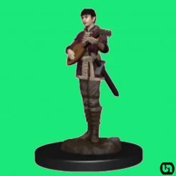 Wizkids Dungeons & Dragons: Icons Of The Realms Premium Miniatures - Half-Elf Bard Female