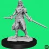 Wizkids Dungeons & Dragons: Nolzur's Marvelous Miniatures Wave 14 - Half-Elf Rogue Female 1 Wizkids Dungeons & Dragons: Nolzur's Marvelous Miniatures Wave 14 - Half-Elf Rogue Female