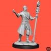 Wizkids Dungeons & Dragons: Nolzur's Marvelous Miniatures Wave 14 - Half-Elf Wizard Male 1 Wizkids Dungeons & Dragons: Nolzur's Marvelous Miniatures Wave 14 - Half-Elf Wizard Male
