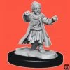 Wizkids Pathfinder: Battles Deep Cuts Wave 15 - Male Halfling Monk Miniatures