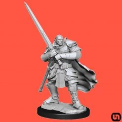 Wizkids Dungeons & Dragons: Nolzur's Marvelous Miniatures Wave 15 - Half-Orc Paladin
