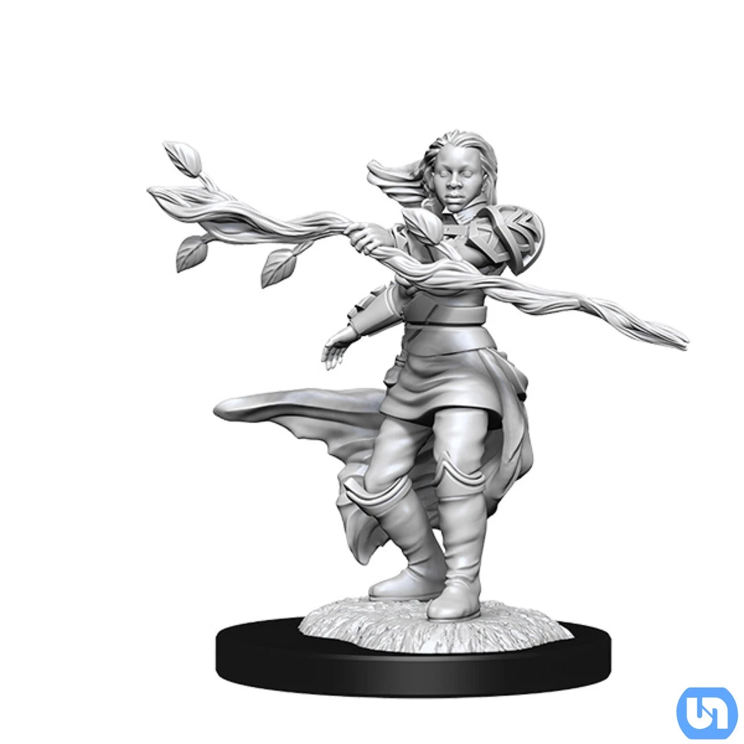 Wizkids Dungeons & Dragons: Nolzur's Marvelous Miniatures Wave 14 - Human Druid Female 4 Wizkids Dungeons & Dragons: Nolzur's Marvelous Miniatures Wave 14 - Human Druid Female