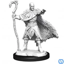 Wizkids Dungeons & Dragons: Nolzur's Marvelous Miniatures Wave 14 - Human Druid Male