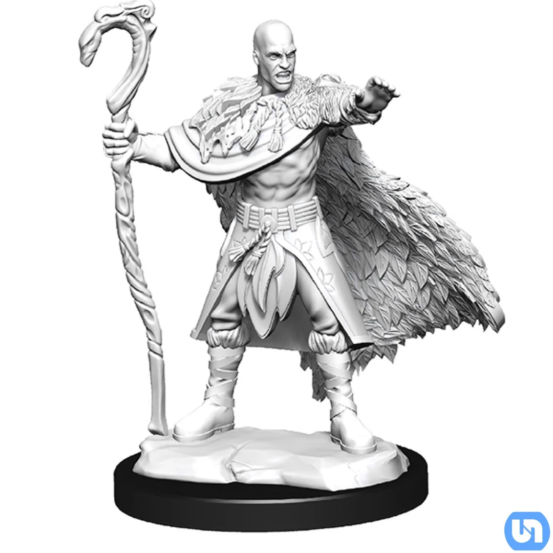 Wizkids Dungeons & Dragons: Nolzur's Marvelous Miniatures Wave 14 - Human Druid Male 3 Wizkids Dungeons & Dragons: Nolzur's Marvelous Miniatures Wave 14 - Human Druid Male