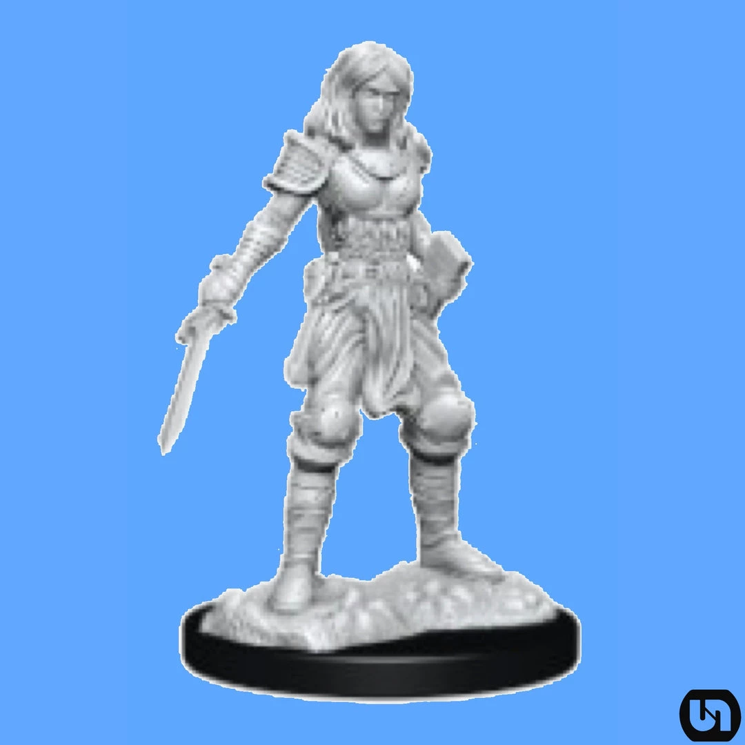 Wizkids Pathfinder: Battles Deep Cuts Wave 15 - Female Human Fighter 3 Wizkids Pathfinder: Battles Deep Cuts Wave 15 - Female Human Fighter