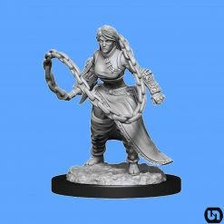 Wizkids Dungeons & Dragons: Nolzur's Marvelous Miniatures Wave 14 - Human Monk