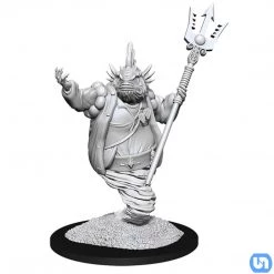 Wizkids Dungeons & Dragons: Nolzur's Marvelous Miniatures Wave 14 - Marid