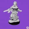 Wizkids Dungeons & Dragons: Nolzur's Marvelous Miniatures Wave 14 - Night Hag & Dusk Hag