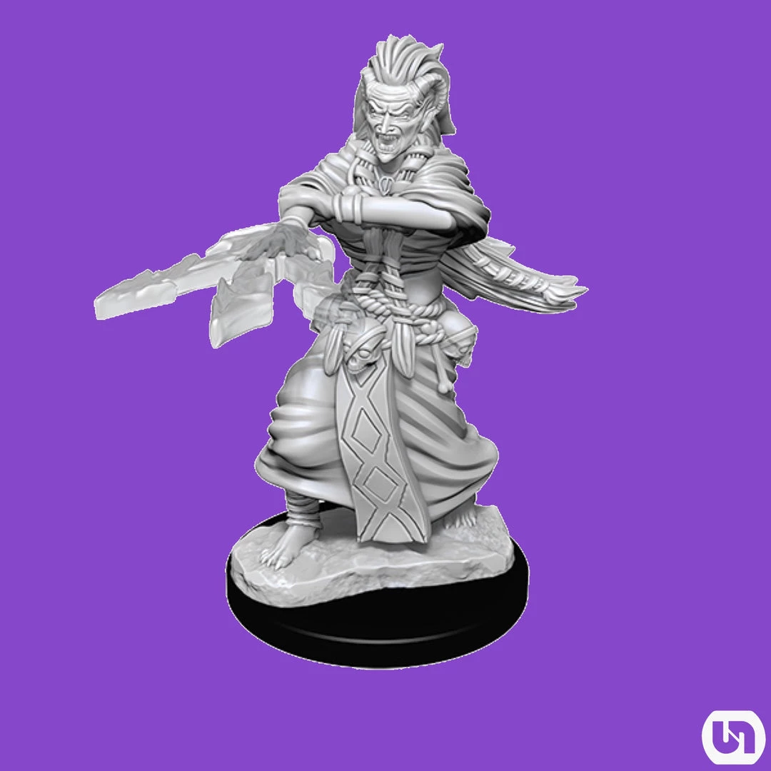 Wizkids Dungeons & Dragons: Nolzur's Marvelous Miniatures Wave 14 - Night Hag & Dusk Hag 3 Wizkids Dungeons & Dragons: Nolzur's Marvelous Miniatures Wave 14 - Night Hag & Dusk Hag