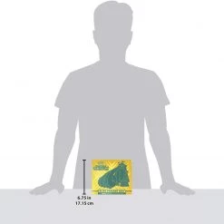 Pokemon TCG Sword & Shield Rebel Clash Elite Trainer Box