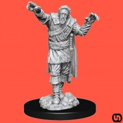 Wizkids Dungeons & Dragons: Nolzur's Marvelous Miniatures Wave 14 - Scarecrow & Stone Cursed