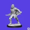 Wizkids Dungeons & Dragons: Nolzur's Marvelous Miniatures Wave 14 - Warforged Rogue