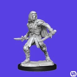 Wizkids Dungeons & Dragons: Nolzur's Marvelous Miniatures Wave 14 - Warforged Rogue