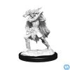 Wizkids Dungeons & Dragons: Nolzur's Marvelous Miniatures Wave 15 - Winter Eladrin & Spring Eladrin